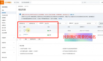 找到域名.png