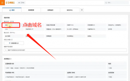 点击域名.png